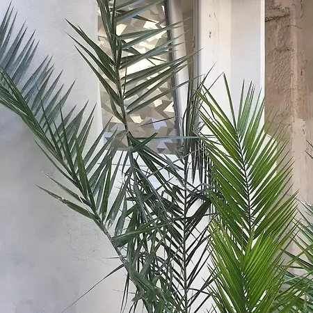 Nedo سبليت